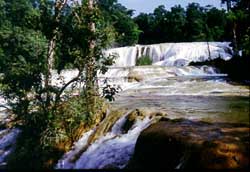 Agua Azul Waterfalls