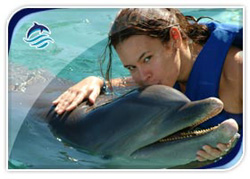 Delphinus Costa Maya