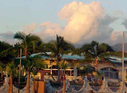 Beachview of Buenavista Resort