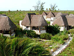 Cabins at EcoParaiso