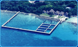 Airview of Dolphin Discovery
