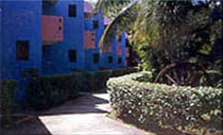 Garden at Villas Caribe