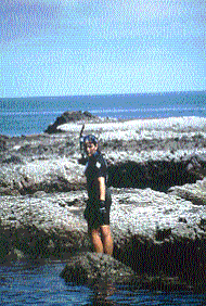 Snorkler in Sea of Cortez