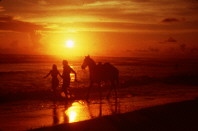 Couple on beach horse walking