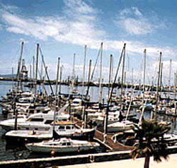 Marina in Ensenada