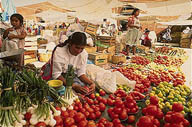 Market Day in Oaxaca