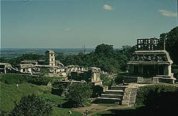 Mayan Ruins at Palenque