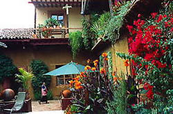 La Casa Encantada's Back Yard