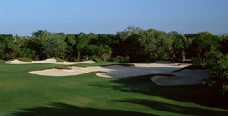 Scenario at Playacar Golf Club