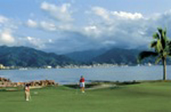 View from Marina Vallarta Golf