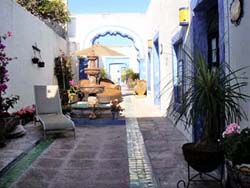 Patio @ Mansion del Burro Azul