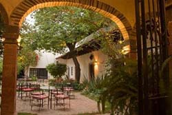 Patio at Hacienda El Santuario