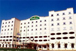 Holiday Inn Tlalnepantla