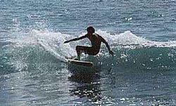 Catching Waves in Todos Santos